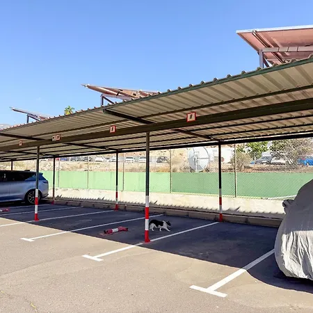 Апартаменты Mango By Tor