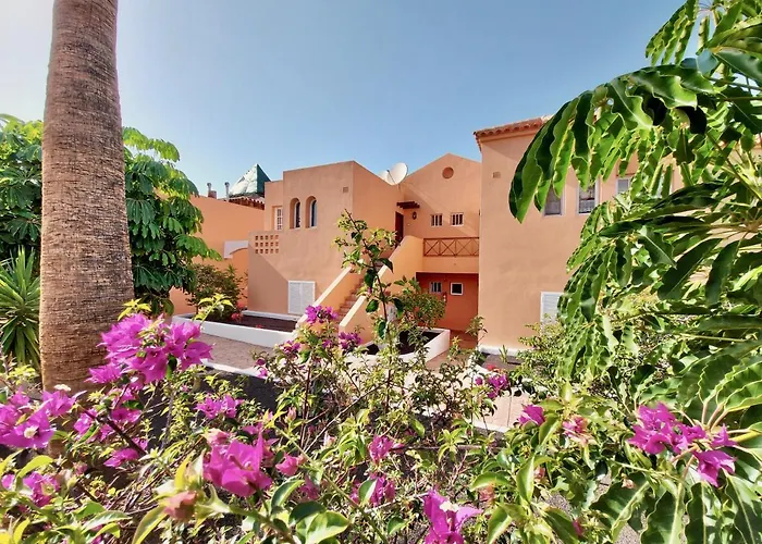 Mango By Tor אדחה