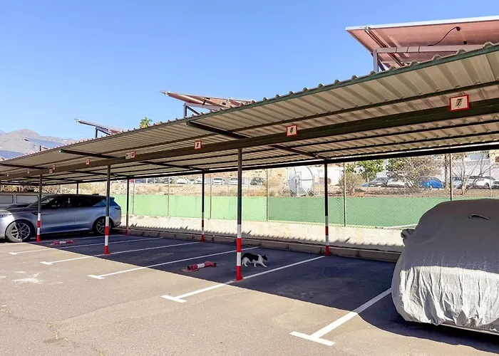 Апартаменты Mango By Tor